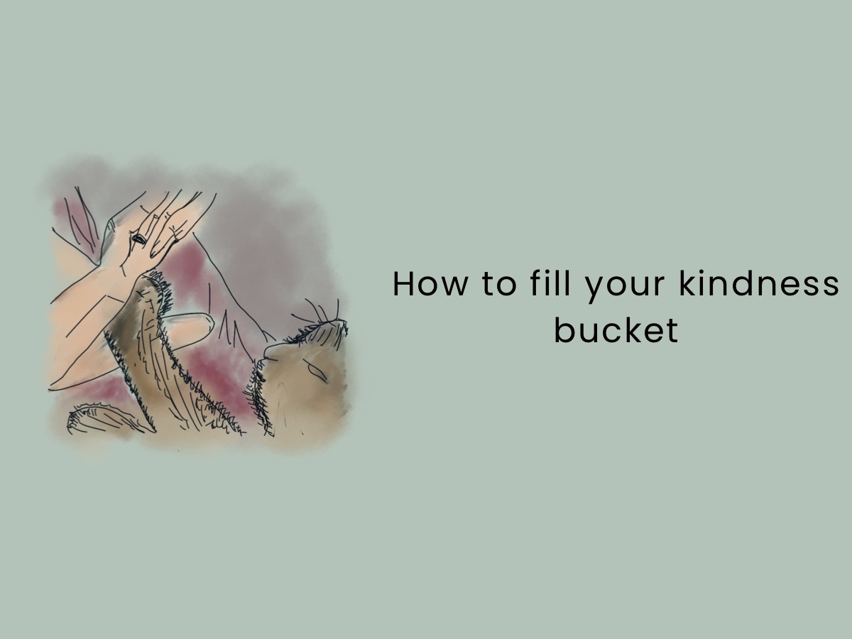 How to fill your kindness bucket